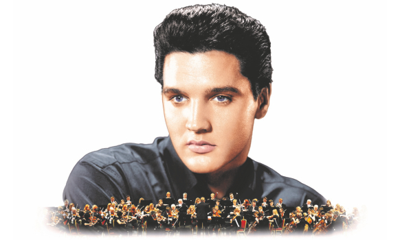 Elvis-582